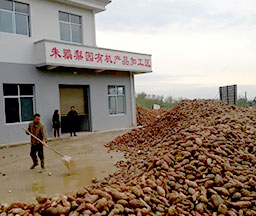 某食品公司采購淀粉設備 某食品公司采購淀粉設備