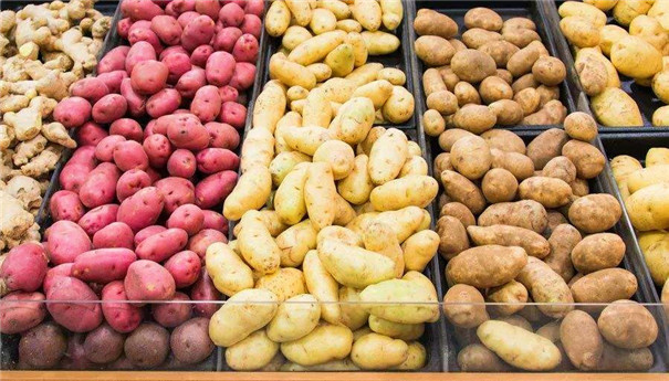 開辦一家淀粉、粉條加工廠都有哪些成本投入？