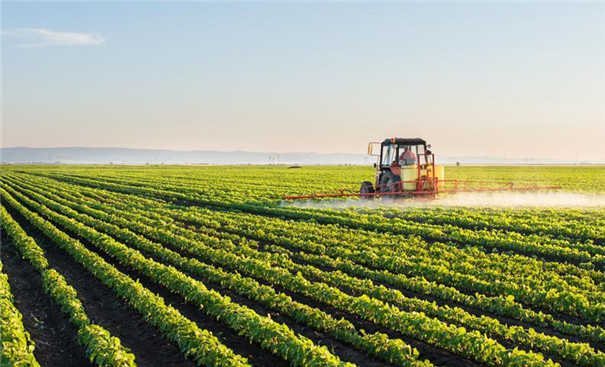 關(guān)于薯類淀粉廢水處理的建議分析 關(guān)于薯類淀粉廢水處理的建議分析