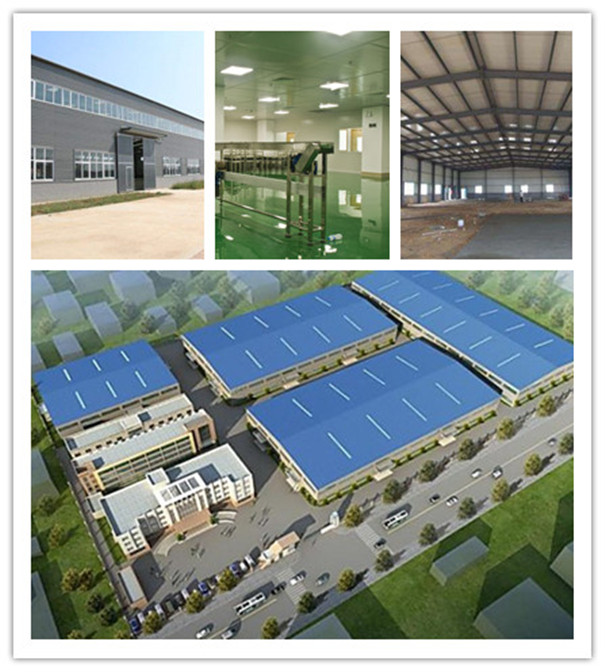 開辦淀粉、粉條加工廠，都需要做哪些準備？看完這個全都明白了