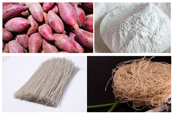 開辦淀粉、粉條加工廠，都需要做哪些準備？看完這個全都明白了