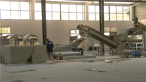 投入淀粉加工不要盲目，考察期間，一定要搞清楚的5個問題