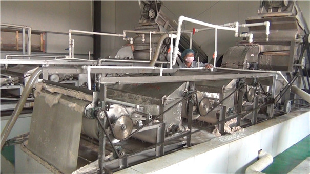 芭蕉芋淀粉加工專用——快速粉碎、易清理