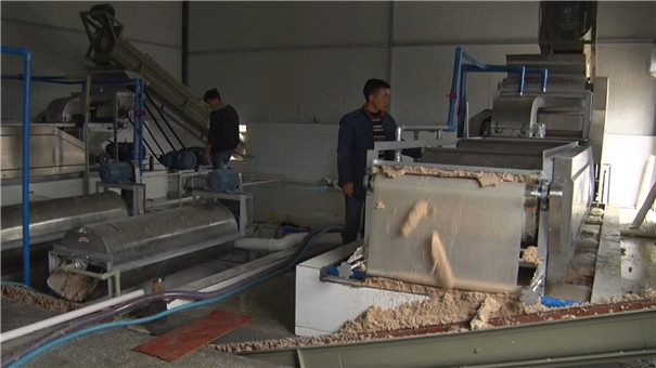 高產的紅薯打粉機，1小時就出來5噸，產量是原來的好幾倍！