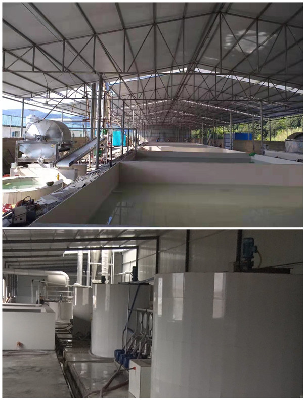 免建沉淀池！分離精制淀粉，用這個紅薯淀粉機就夠了