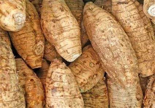 新鮮原料結(jié)合專業(yè)葛粉設(shè)備，有效提高葛根淀粉提取率