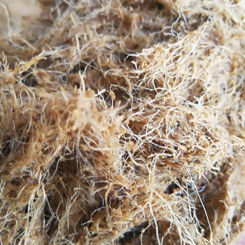 葛根淀粉加工的三個重要工段及設備介紹