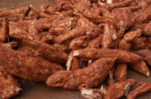 葛根淀粉加工的三個重要工段及設備介紹