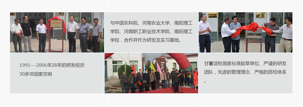 標(biāo)準(zhǔn)型淀粉生產(chǎn)線 標(biāo)準(zhǔn)型淀粉生產(chǎn)線